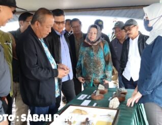 Bekas lombong Tembaga Mamut berpotensi dibangunkan pusat penyelidikan, pendidikan taman moden