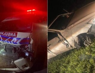 Ambulans bawa pesakit kemalangan langgar kerbau melintas