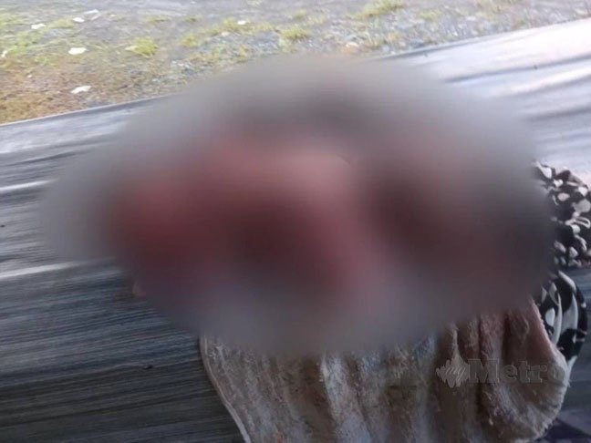 Bayi ditinggalkan di gerai makanan di Sandakan