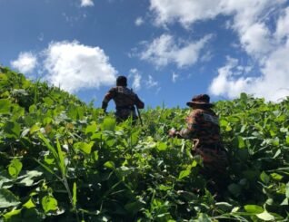 Warga emas hilang di kebun