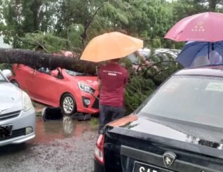 Jururawat terselamat, pokok hempap kereta di Hospital Likas