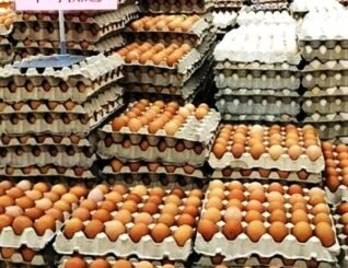 Telur ayam kurang, pengguna Sabah dan Sarawak terjejas menjelang persiapan Krismas