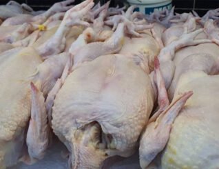 Bekalan ayam cukup hingga Aidilfitri