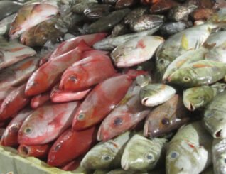 KPDN pantau harga ikan akibat cuaca panas di negara ini