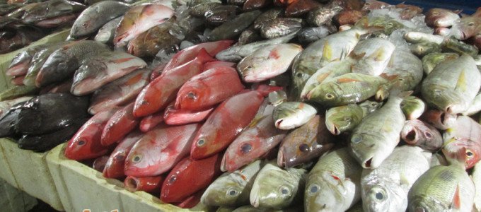 KPDN pantau harga ikan akibat cuaca panas di negara ini