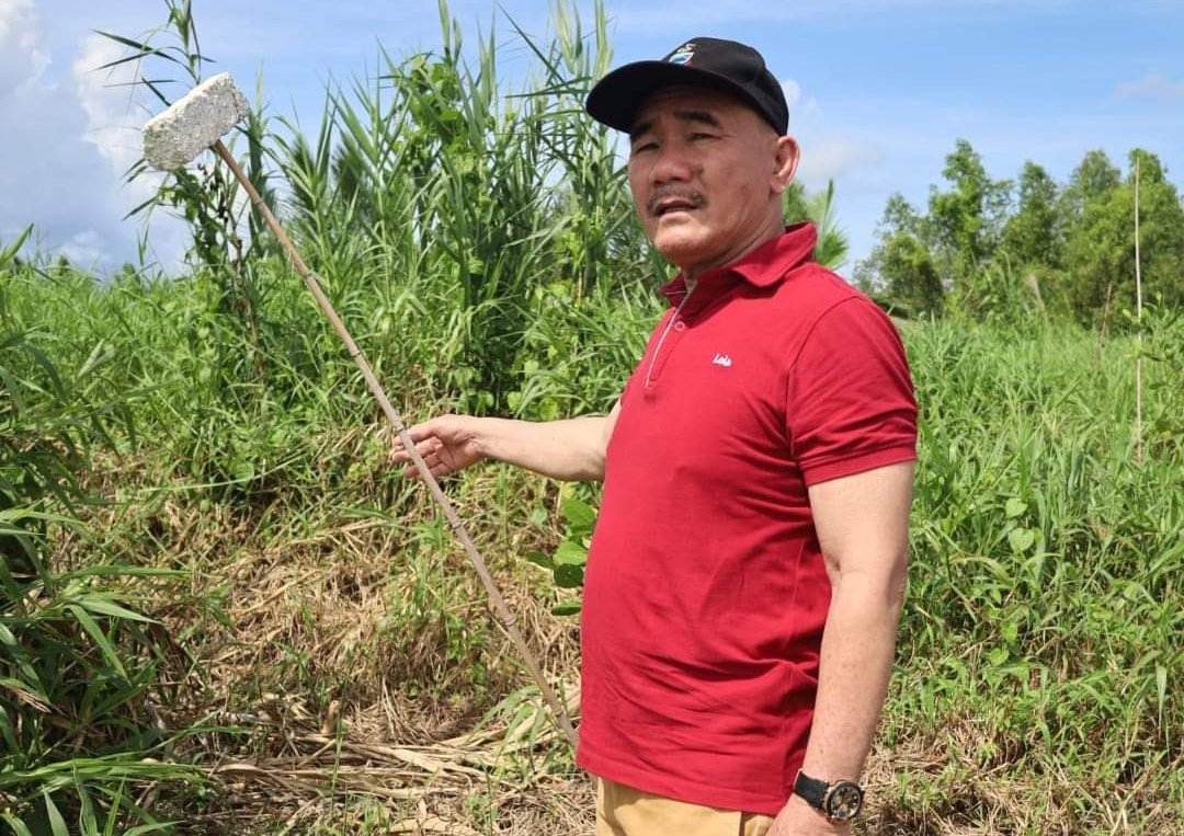 Penanaman Pokok Perepat bantu ekonomi komuniti dan lestarikan alam 