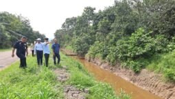 Dua tapak dicadangkan bagi pembinaan sekolah rendah baharu